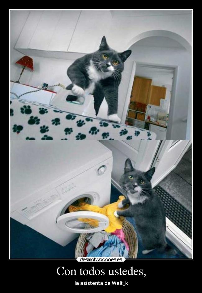 Con todos ustedes, -