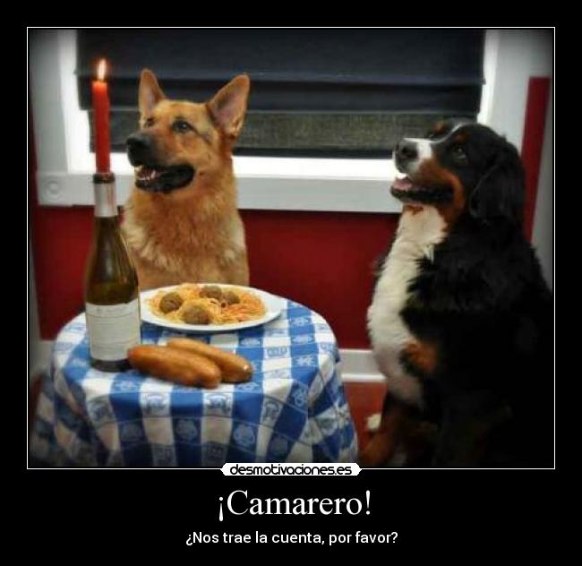 ¡Camarero! -