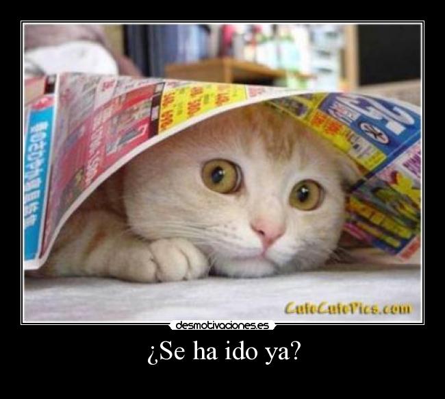 ¿Se ha ido ya? -