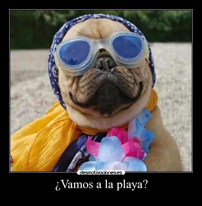 ¿Vamos a la playa? - 
