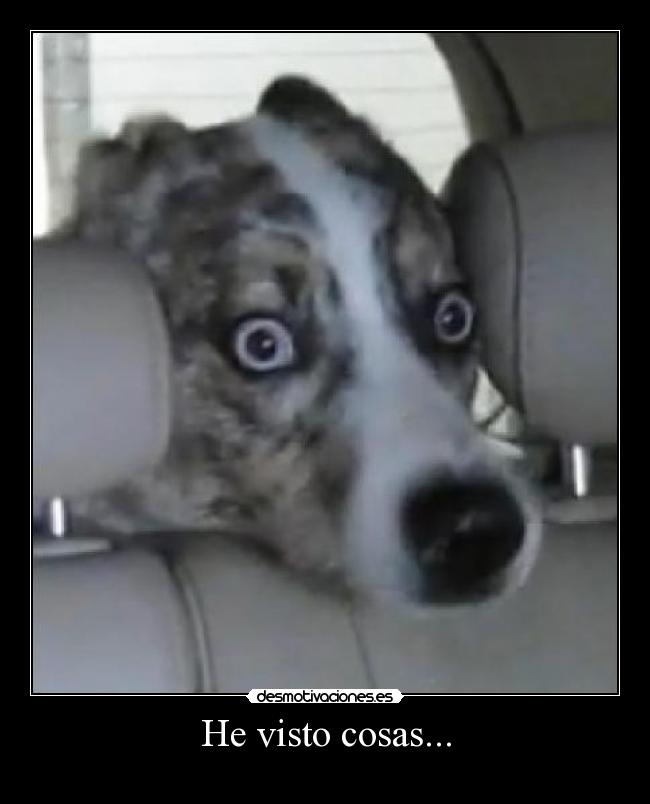He visto cosas... - 