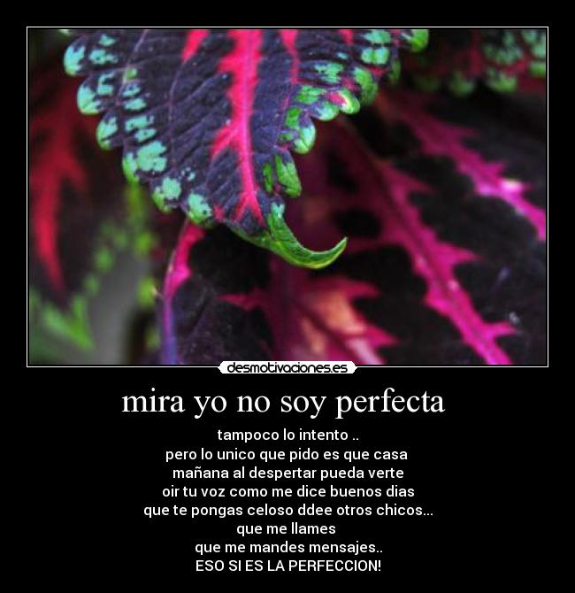 mira yo no soy perfecta  - 