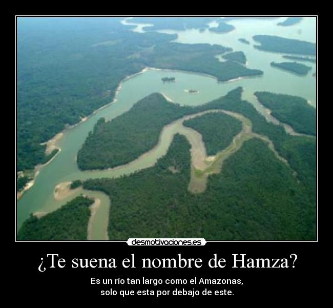 ¿Te suena el nombre de Hamza? -