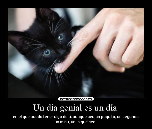 Un día genial es un día - en el que puedo tener algo de ti, aunque sea un poquito, un segundo,
un miau, un lo que sea...