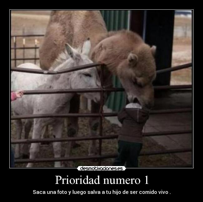 Prioridad numero 1 -