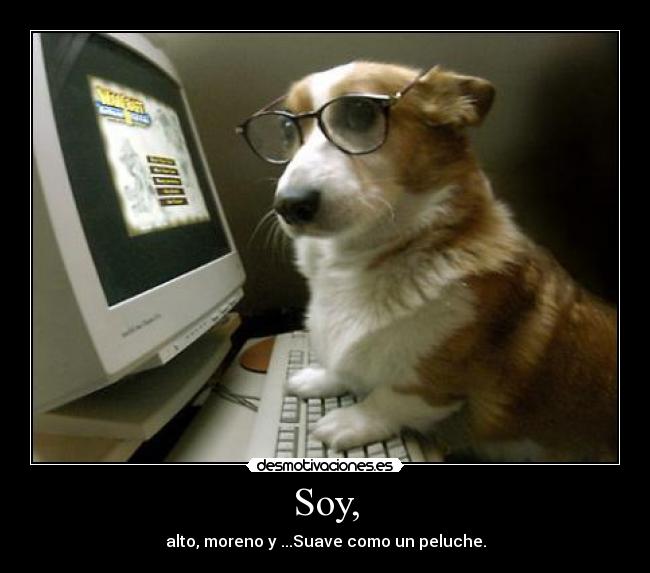 Soy, - alto, moreno y ...Suave como un peluche.