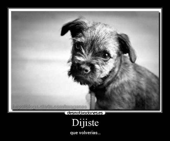Dijiste - 
