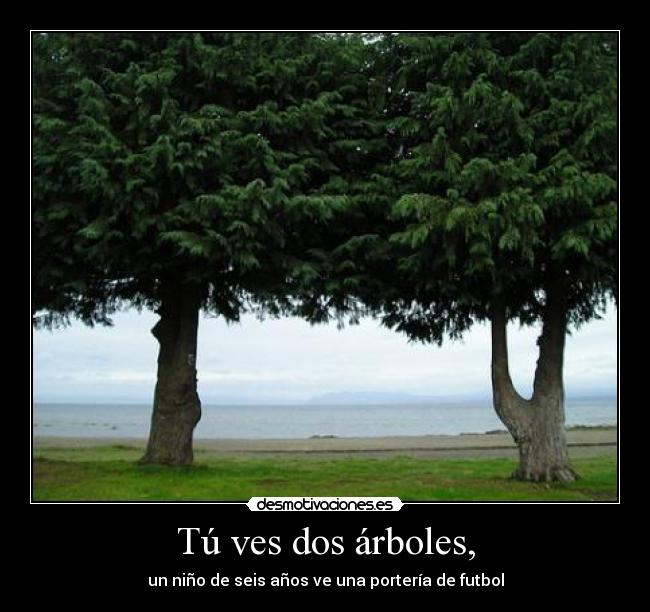 Tú ves dos árboles, - 