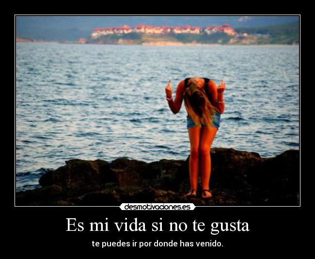 Es mi vida si no te gusta -