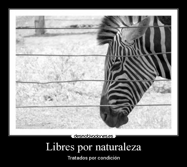 carteles naturaleza aunque somos libres los roles nos afectan todos desmotivaciones