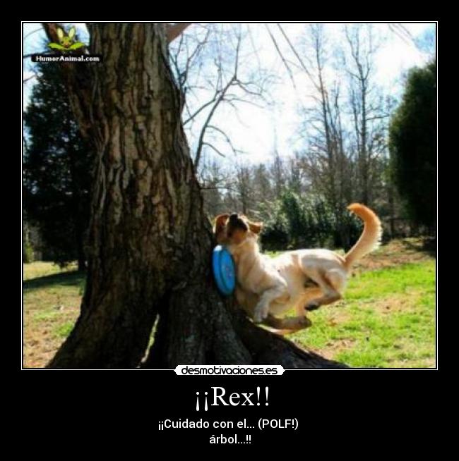 ¡¡Rex!! -