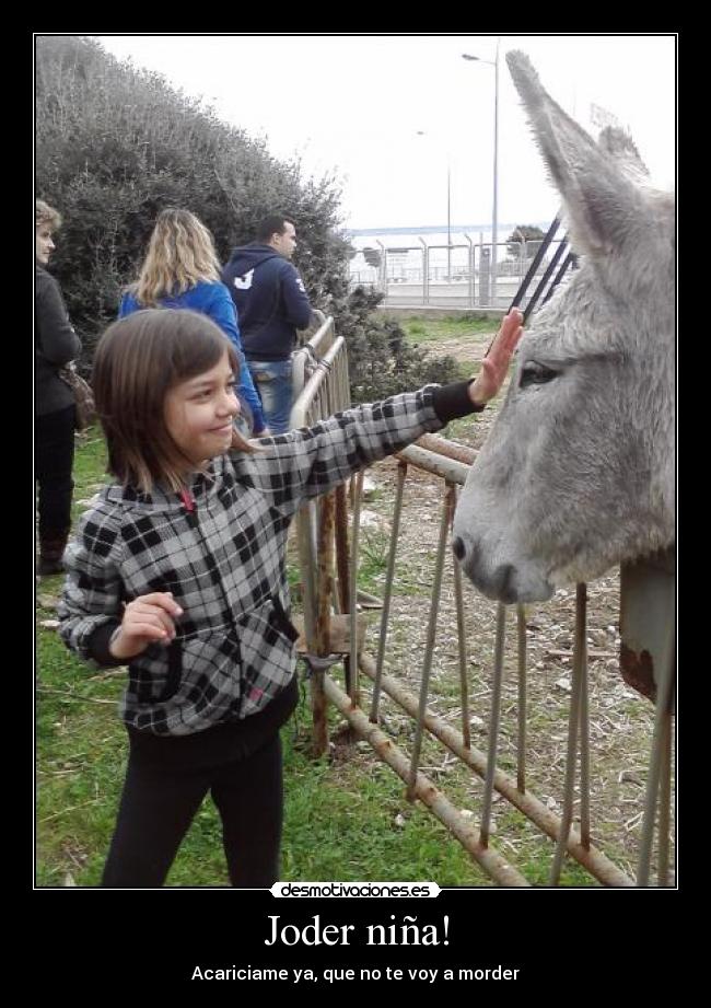 Joder niña! - Acariciame ya, que no te voy a morder