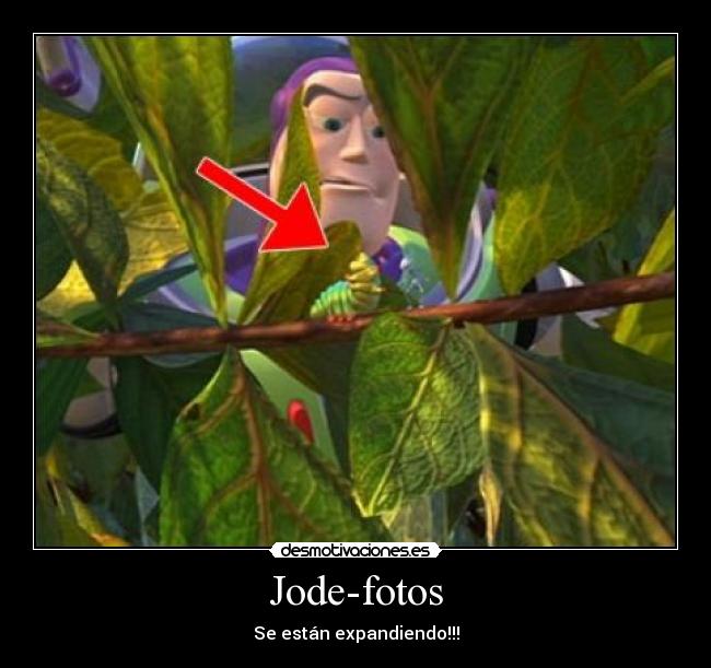 Jode-fotos - Se están expandiendo!!!