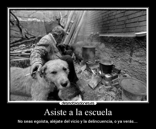 Asiste a la escuela - 