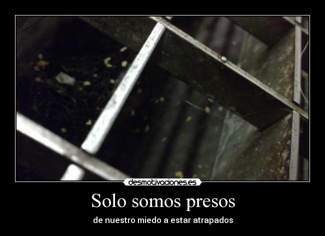 Solo somos presos - de nuestro miedo a estar atrapados