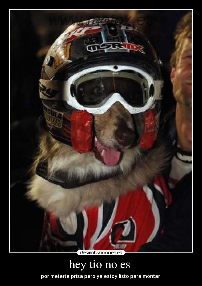 carteles rayser desmotivaciones