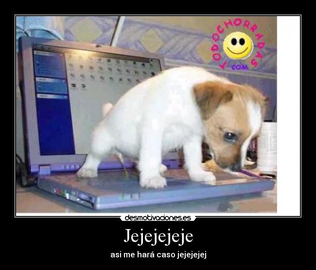 Jejejejeje - asi me hará caso jejejejej