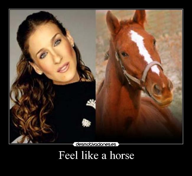 carteles caballo feel like sarah jessica parker pajaro_loco desmotivaciones