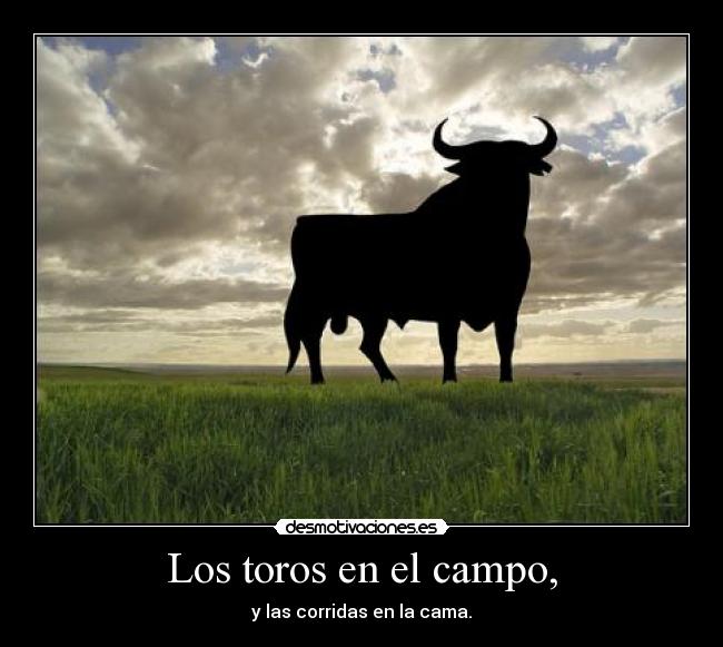 Los toros en el campo, - y las corridas en la cama.