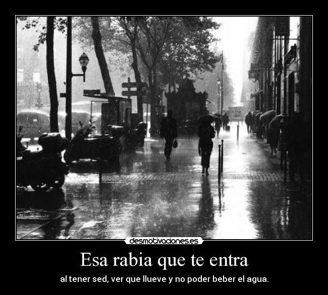 carteles lluvia desmotivaciones