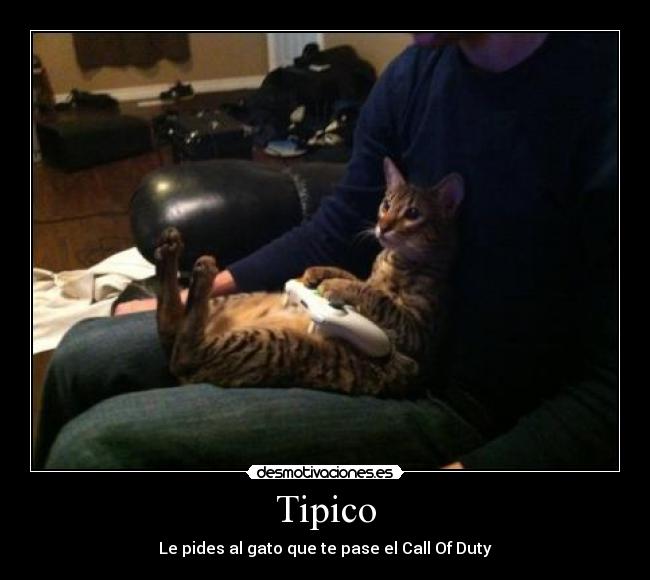 Tipico - Le pides al gato que te pase el Call Of Duty