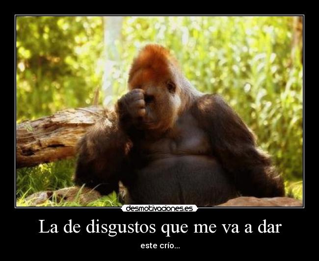 La de disgustos que me va a dar - 