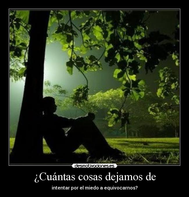 ¿Cuántas cosas dejamos de - intentar por el miedo a equivocarnos?