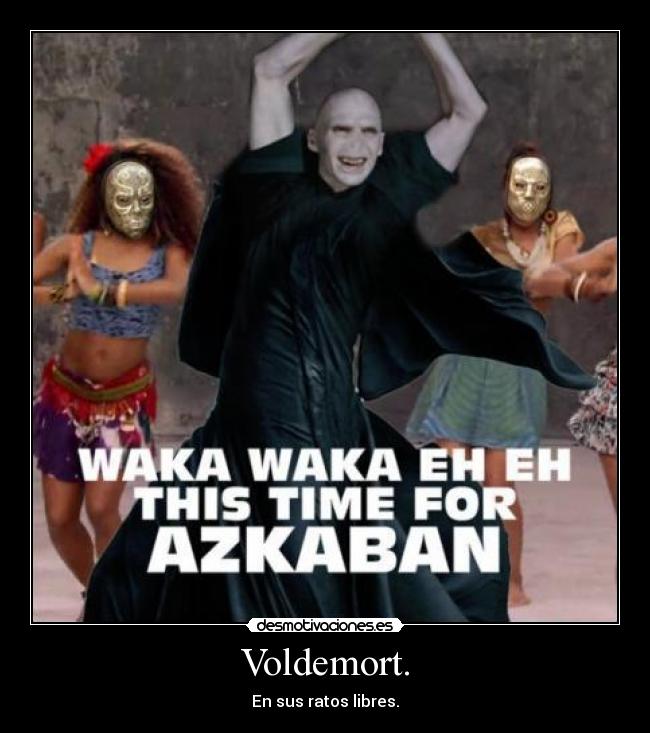 carteles voldemort sus ratos libres desmotivaciones