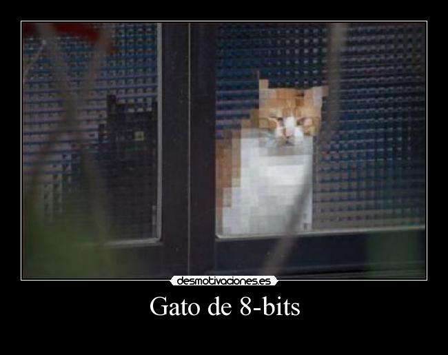 Gato de 8-bits - 
