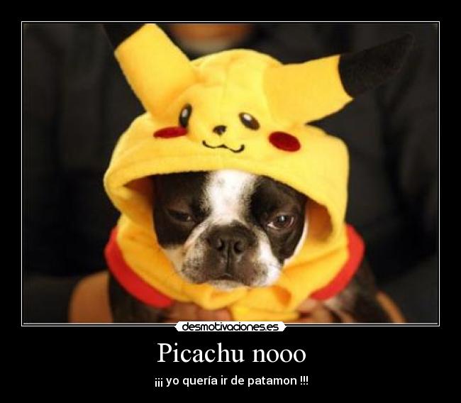 Picachu nooo - ¡¡¡ yo quería ir de patamon !!!