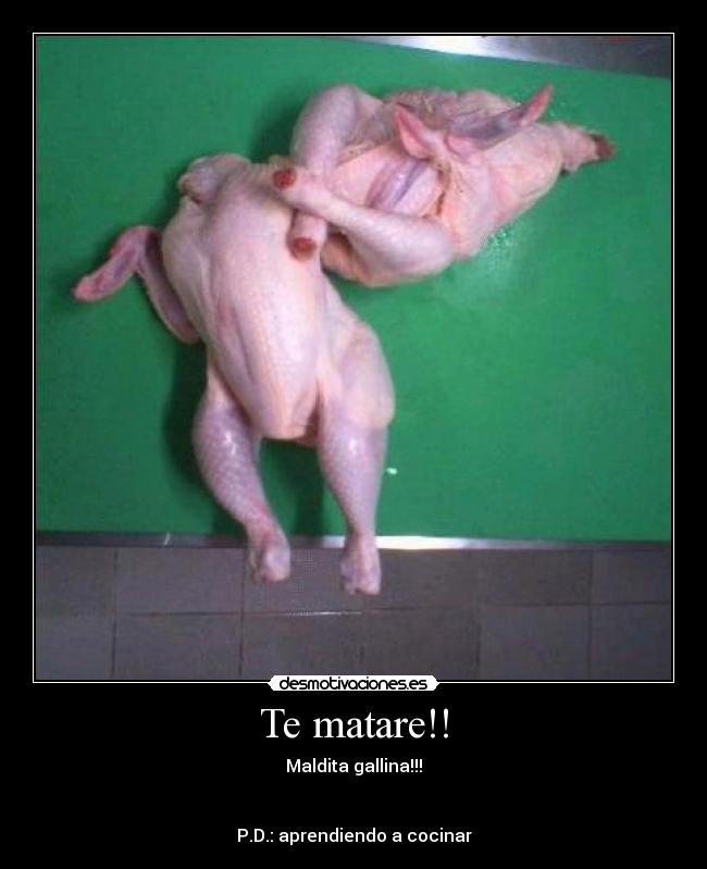 Te matare!! -