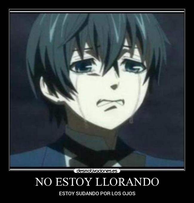 NO ESTOY LLORANDO -