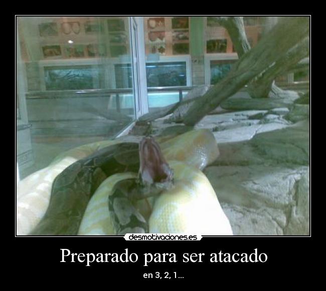 Preparado para ser atacado - 