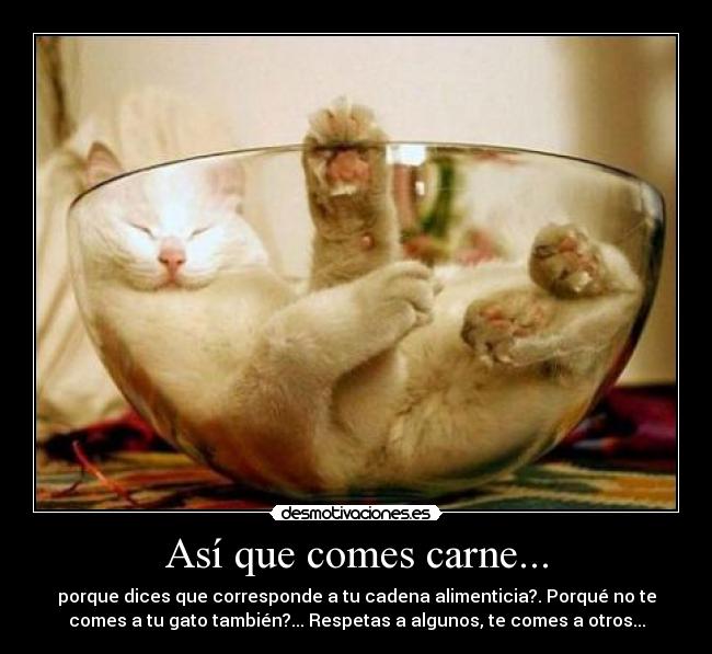Así que comes carne... - 