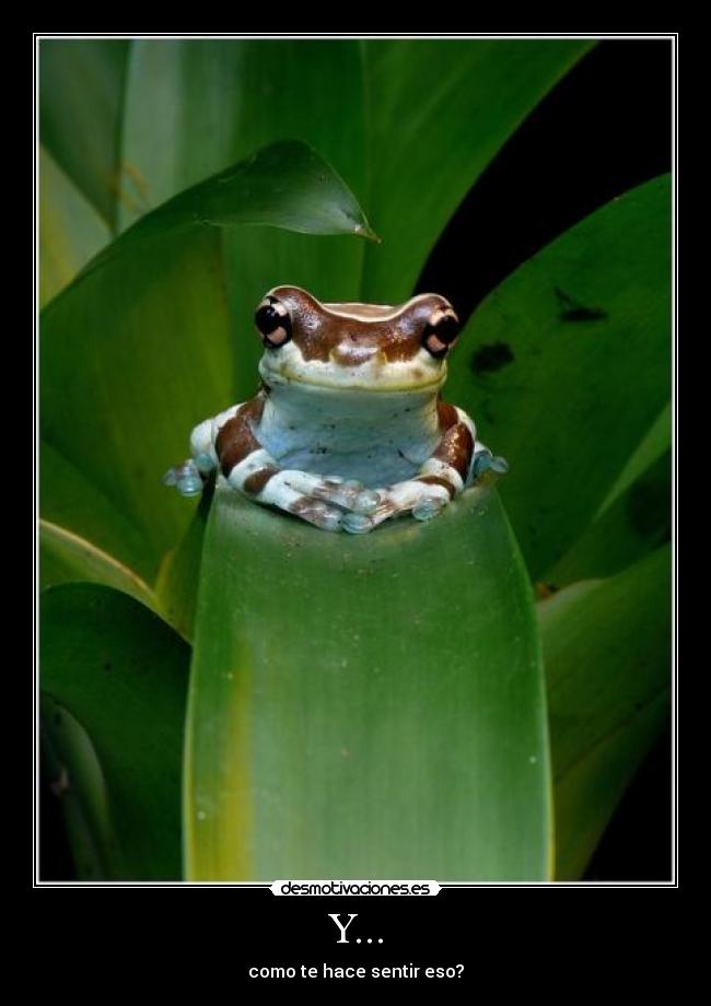 Y... - como te hace sentir eso?