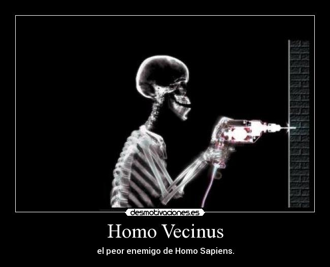 Homo Vecinus - 