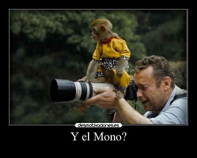 Y el Mono? -