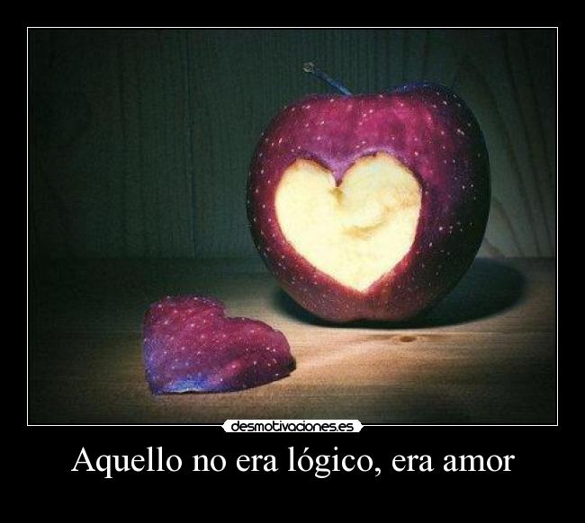 Aquello no era lógico, era amor -