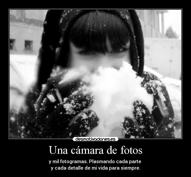 Una cámara de fotos - 