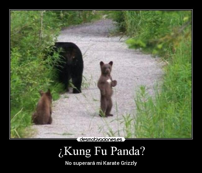 ¿Kung Fu Panda? - No superará mi Karate Grizzly