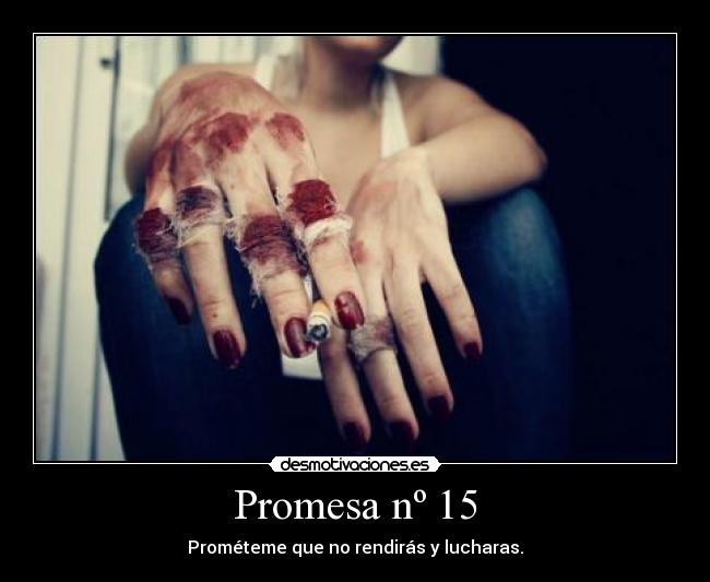 Promesa nº 15 - 