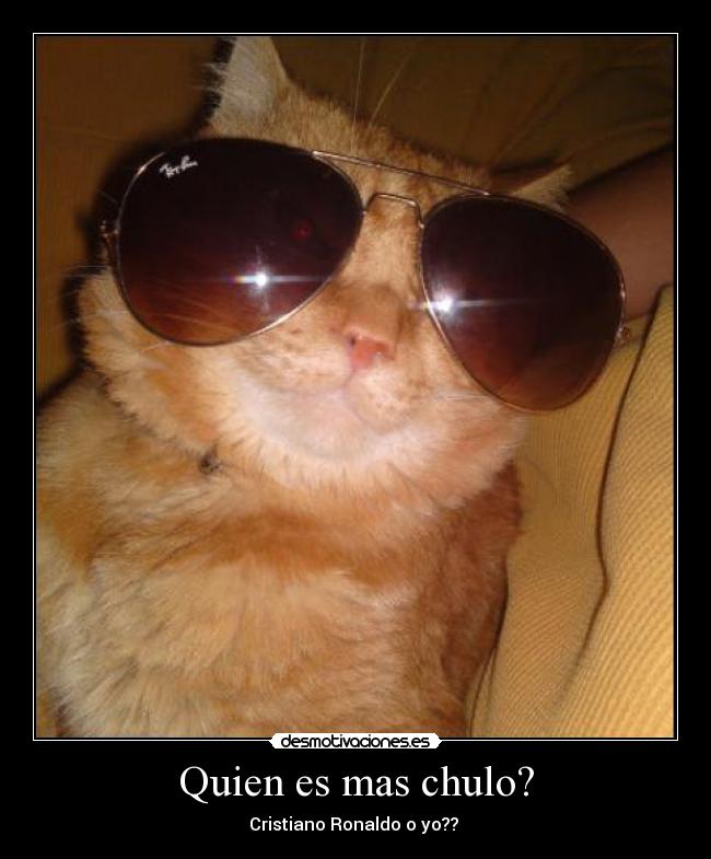 carteles gatoscristiano ronaldo chulo xulo desmotivaciones