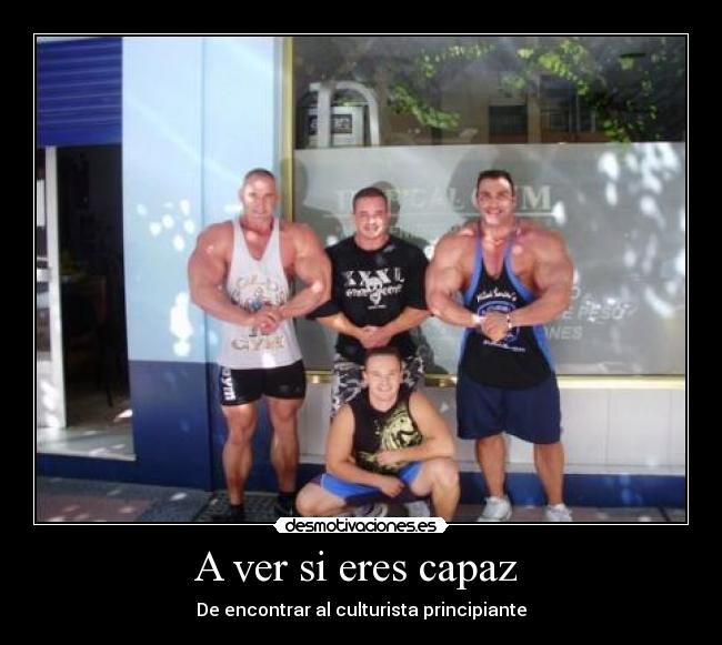 A ver si eres capaz - De encontrar al culturista principiante