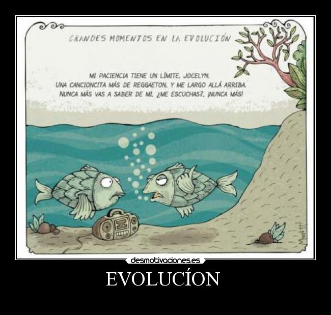  EVOLUCÍON   -  