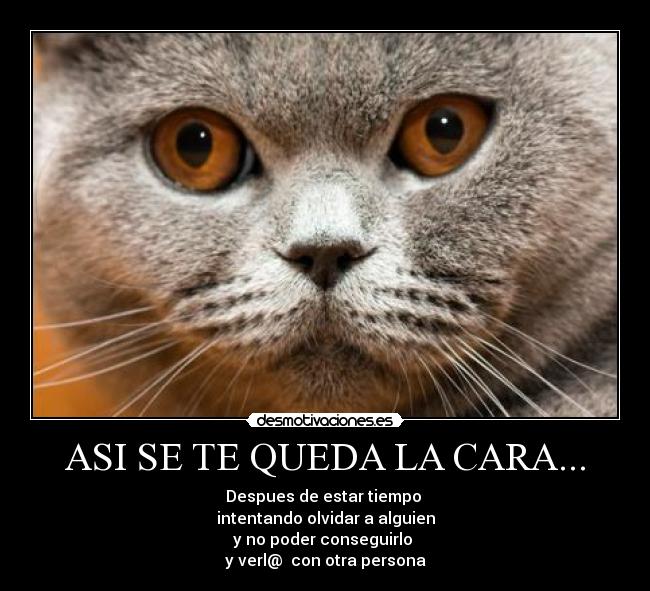 ASI SE TE QUEDA LA CARA... -