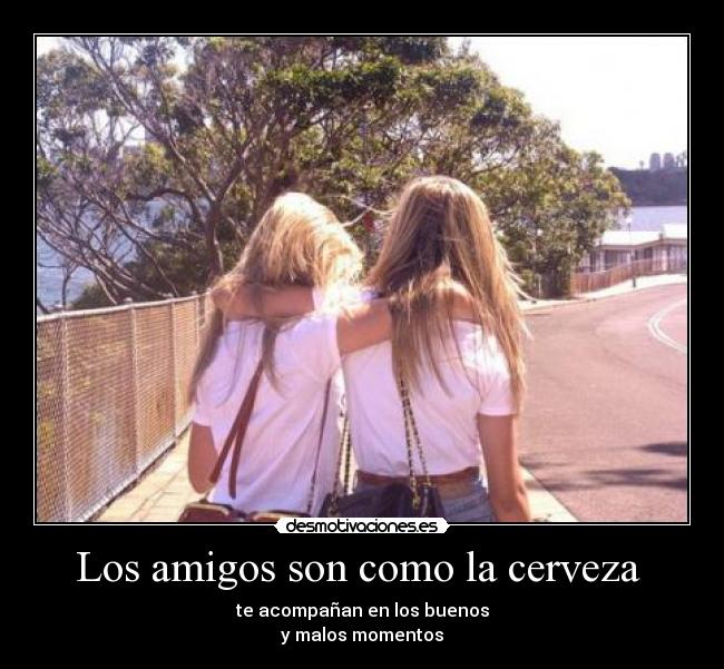 Los amigos son como la cerveza  - 