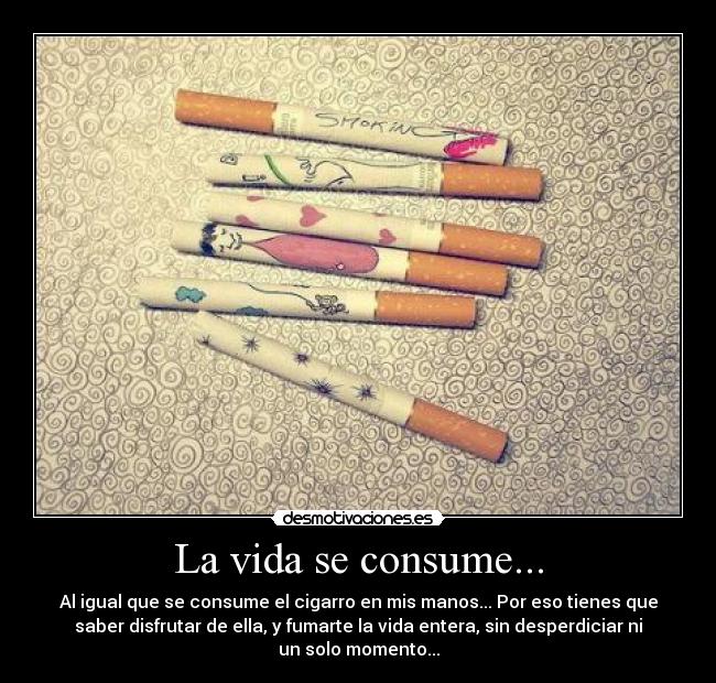 carteles vida vida consume desmotivaciones