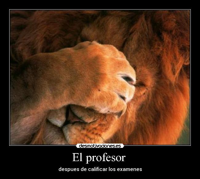 El profesor -
