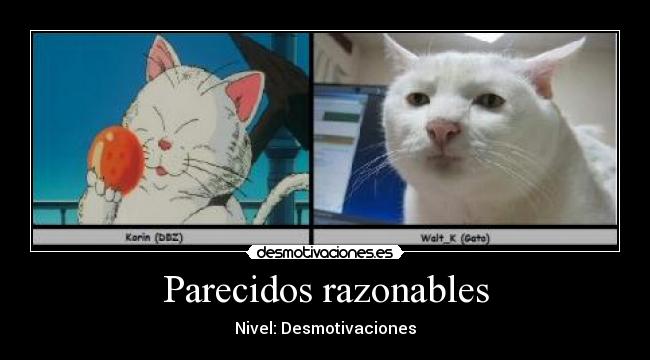 Parecidos razonables -