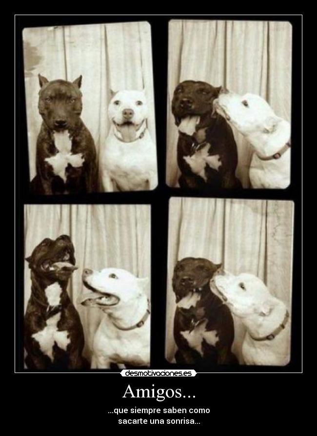 Amigos... - ...que siempre saben como
sacarte una sonrisa...